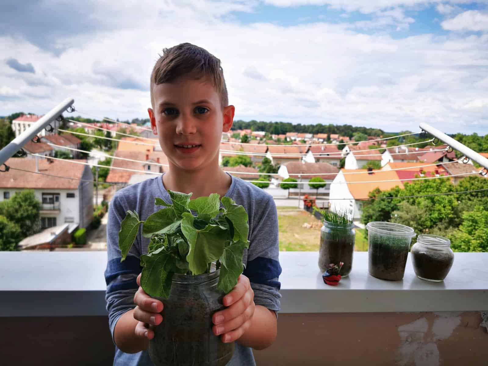 MALI ZELENI Bjelovarski školarci u izolaciji postali vrsni vrtlari