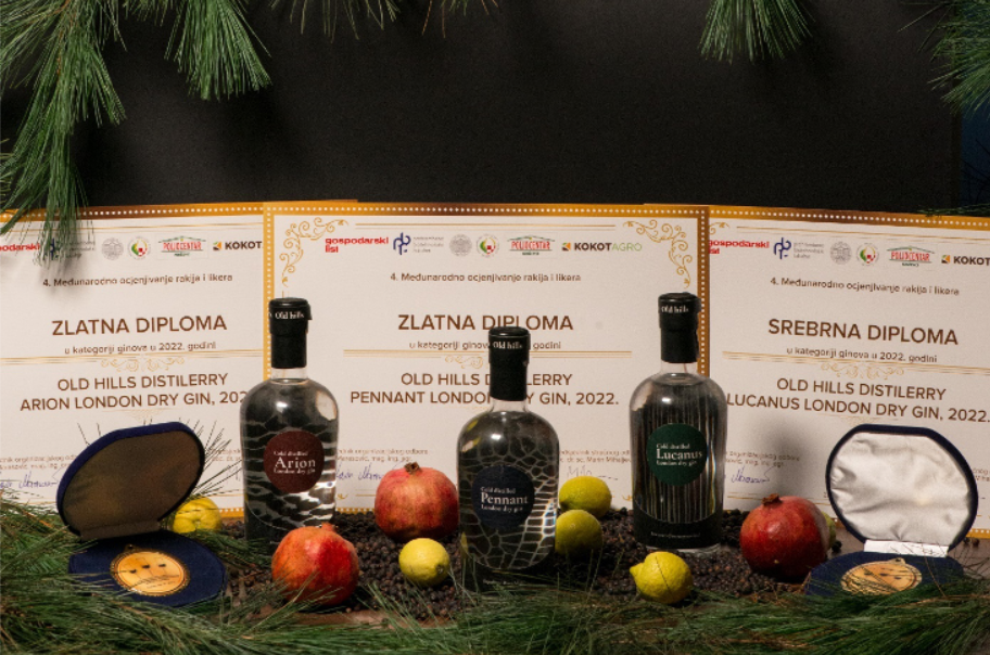 Veliko priznanje: Bjelovarski ginovi osvojili zlatne medalje na međunarodnom natjecanju!