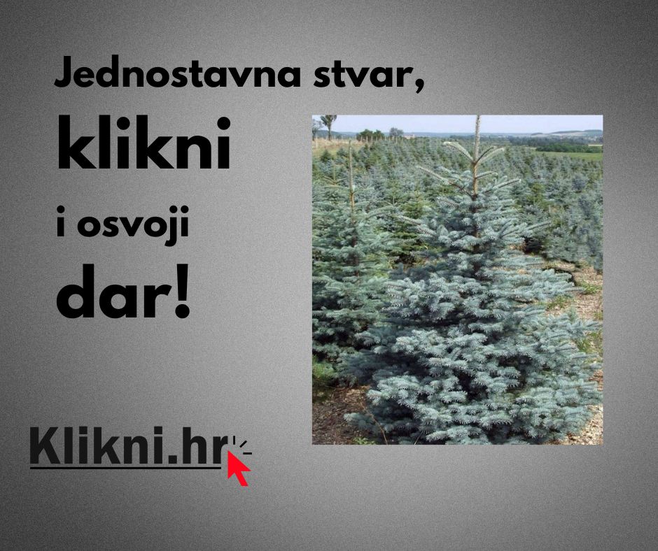 Čitaj Klikni.hr i osvoji božićno drvce!