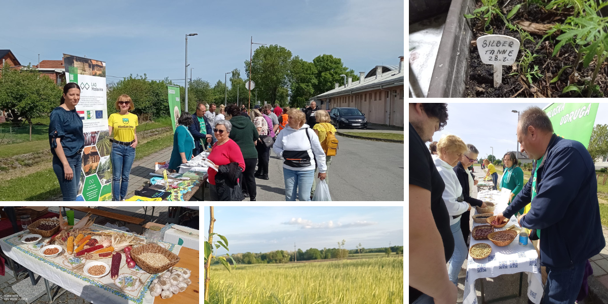 Udruga OPG-a Agricola nastoji očuvati starinske sorte uzgojene na tradicionalan način