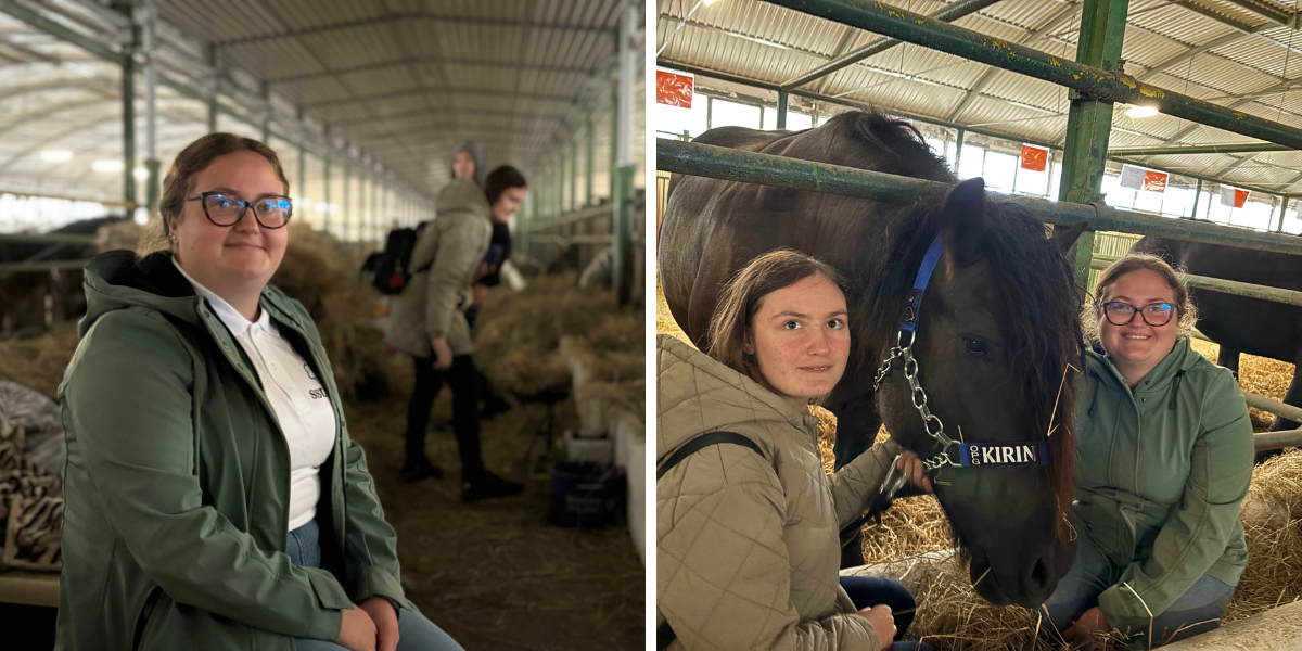 [FOTO] Rahela Kirin i njena kobila Norma donose čaroliju konjskog svijeta na bjelovarski sajam