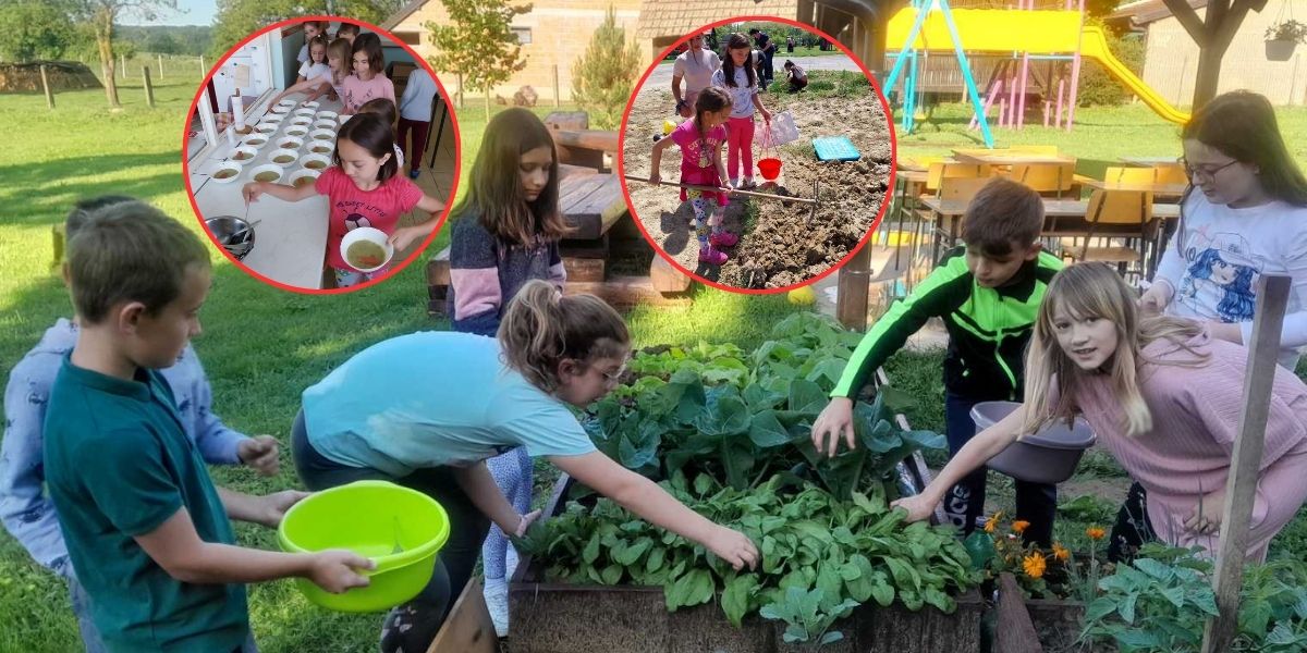 [FOTO] Bravo za male ljude: Sivo školsko dvorište, zamijenili vrtom i proizvodnjom domaćeg povrća