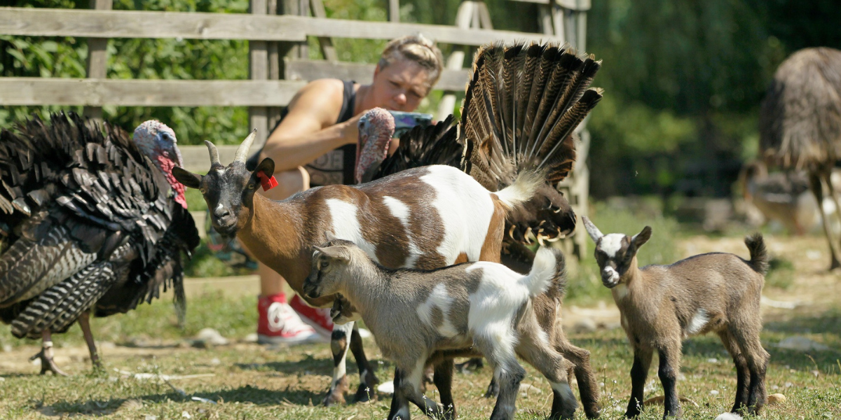 Zadnja prilika za uživanje na Grginom konaku: Dođite na Dan otvorenih vrata!