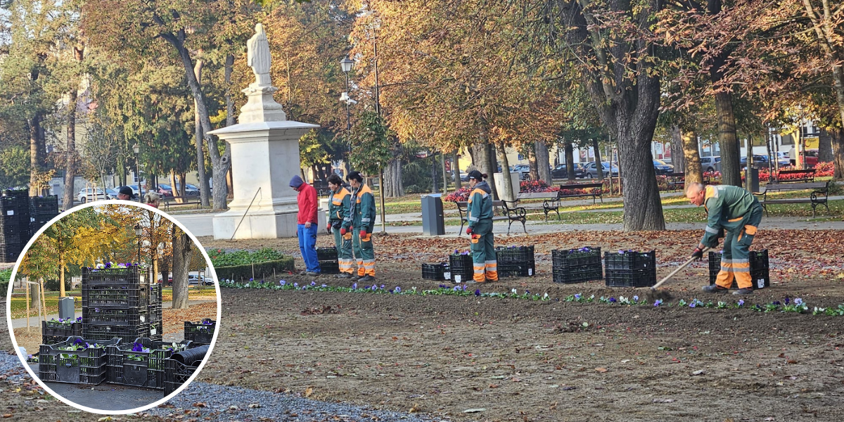 [FOTO] U parku posađene prve maćuhice, slijedi sadanja mnogima omiljenog cvijeta