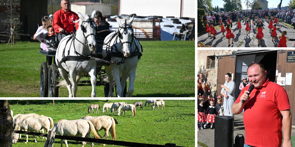 [FOTO] Lipicanci se vraćaju kući, velika proslava ispunjena radošću i tradicijom