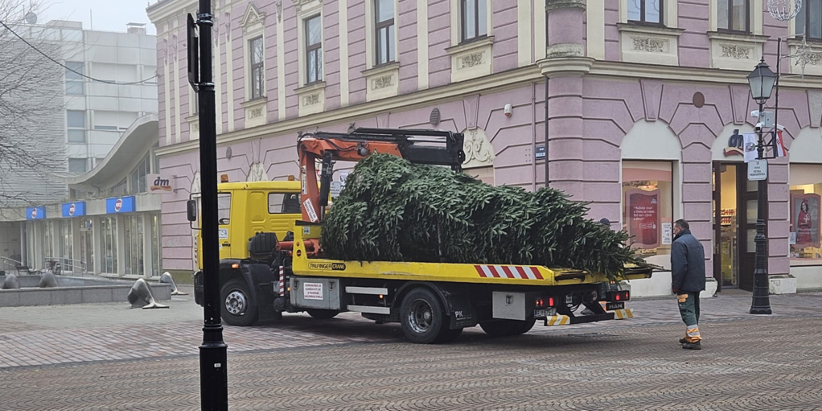 Bjelovar spreman za Advent: Božićno drvce stiglo na korzo