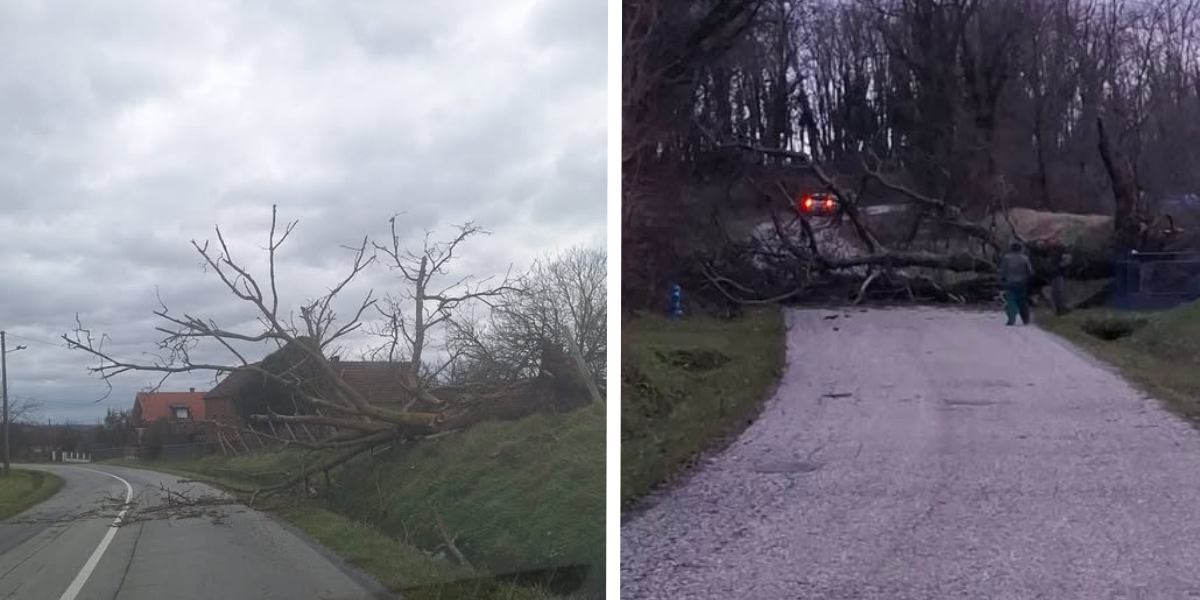 Jak vjetar stvara probleme: Srušena stabla na cestama