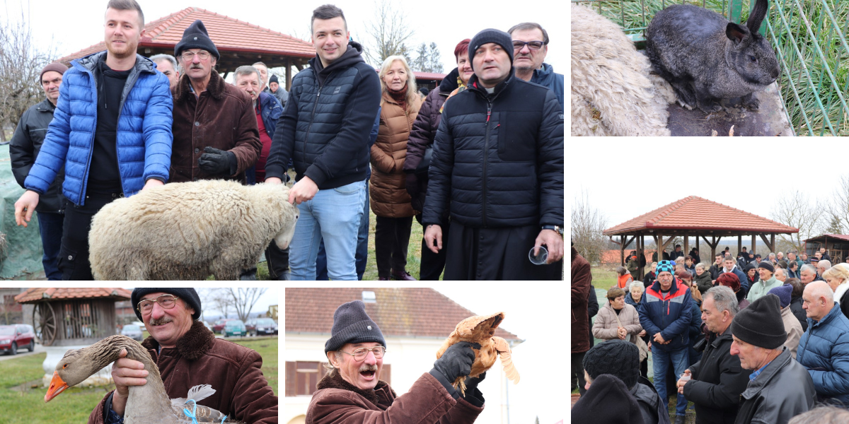 [FOTO] Bili smo na licitaciji domaćih životinja, evo koja je postigla najveću cijenu