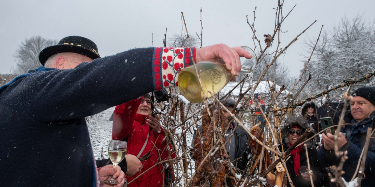 Zajedno s vinogradarima svečano uđite u novu vinogradarsku godinu