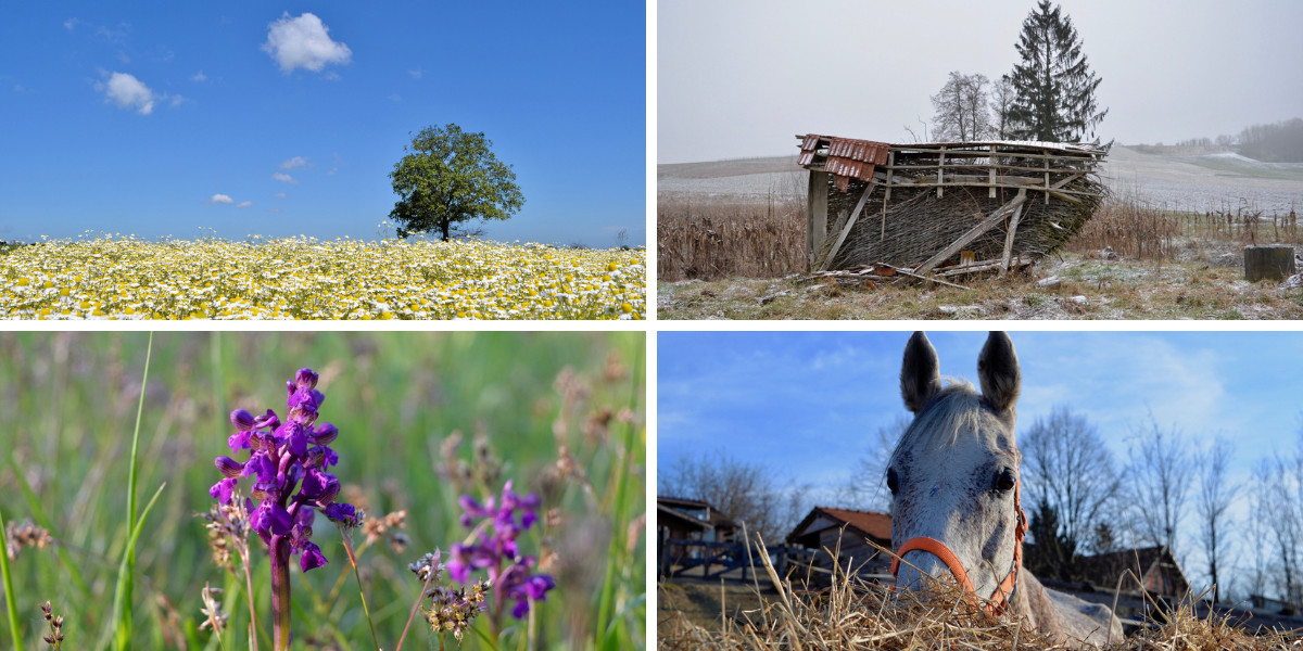 Bilogora u bojama: Pogledajte priče prirode kroz objektiv divne fotografkinje